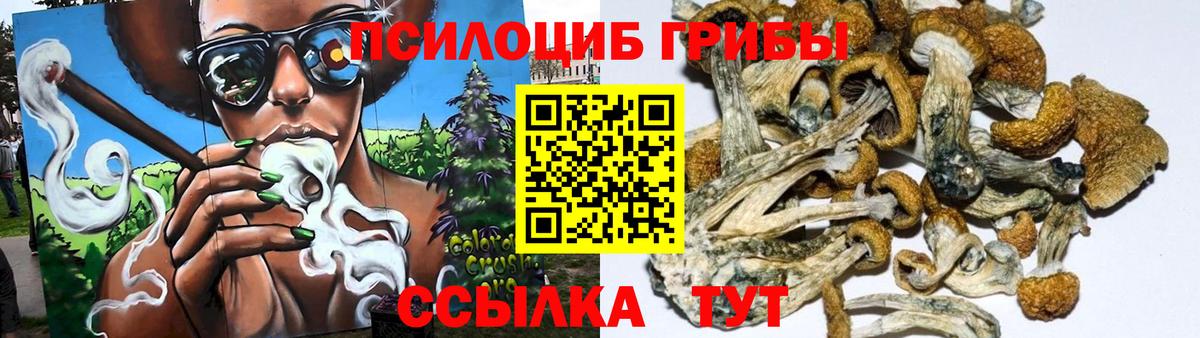 Псилоцибиновые грибы GOLDEN TEACHER Дзержинск