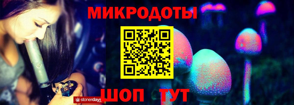 Дзержинск  Галлюциногенные грибы Psilocybine cubensis  Вход с VPN 